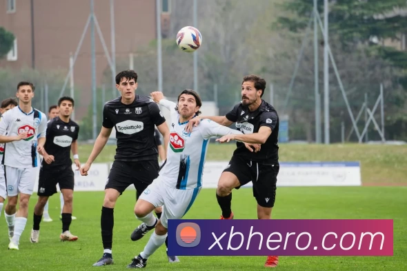 新币娱乐官网发展历程